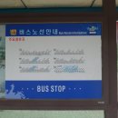 보불로(동) 티스토리