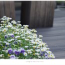 스위트허브 이미지