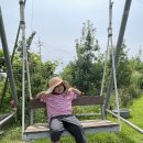 밤섬농장 이미지