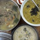 돌담할망보말톳칼국수 | 보말 맛집과의 만남 현지 도민들이 가득했던 [돌담...보말죽에 코박고 먹은 내돈내산 내돈내먹 후기!