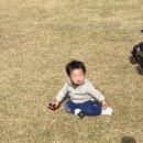 붐붐붕