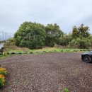 스테이느으린 이미지