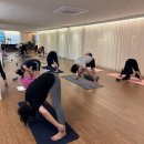 힐링요가 | 몸과 마음이 편안해졌던 혜나요가 싱잉볼 힐링요가 후기