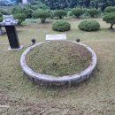 가나벌초대행