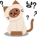 주정차단속-59 이미지