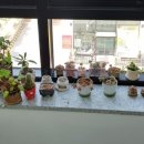 의정부민락요양병원 이미지