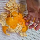 이스트팜 이미지