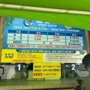 기찬랜드 | 영암 기찬랜드 개장 2025 물놀이 후기 평상 대여 정보