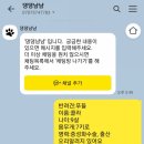 댕댕냠냠 이미지