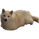 옹기종기 이미지