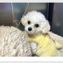 아이조아요양보호소 대구점 이미지