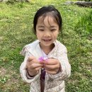 나무그림펜션 이미지