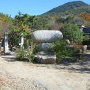 참샘농원 이미지