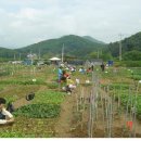 신용농장 이미지