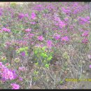 석교초등학교 이미지