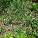 삼동농장 이미지