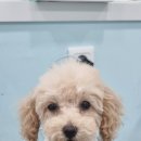 (주)가온메디 이미지