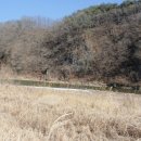 평창강펜션2 이미지