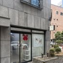 도솔로 | 대전 탄방동 속눈썹펌 : 솔브로우 | 대전속눈썹펌 후기