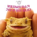 에코펫케어 이미지