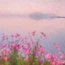 여정커피숍 - 논산시 | 여정커피숍
