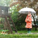 스튜디오배 이미지