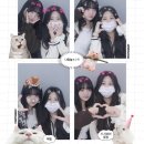 카페요트