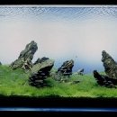 물속풍경 이미지