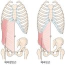 필라테스그릿 - 성남시 수정구 위례광장로 300 | 필라테스그릿