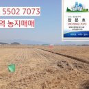 신대림부동산공인중개사사무소 이미지