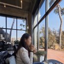 화이트커피 | 용인대형카페 화이트바움 커피 베이커리 두쫀쿠 카페 후기