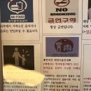 벤첼리 | 춘천 계곡 카페 : 강아지카페 : 물놀이 카페