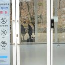 장흥우체국 | 서울근교 아이와 가기 좋은 곳 양주시립 장욱진미술관 경기북부 벚꽃 핫 플
