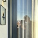 웨스트메도우 | 뉴질랜드 여행 | Day.7 와나카에서 퀸즈타운까지