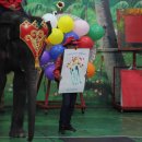 점보빌리지 이미지