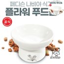 지에스펫 이미지