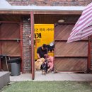 허벌라개 이미지