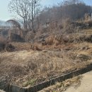 한적농장 이미지