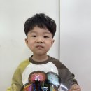 햇빛 담은 썬 캐처 Daum카페