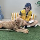 해봄동물병원 이미지