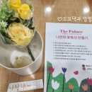 분당더팰리스 산후조리원 | [출산] 더팰리스 분당/수내역 산후조리원 후기(대박 만족🩷)