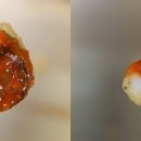 첫번째 분식집 티스토리