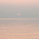 매향리 평화생태공원 이미지