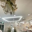 탑뷰티클래스 | 대구속눈썹펌 받고 속눈썹 완전히 회복한 후기 S탑뷰티클래스