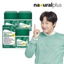 하이초도 이미지