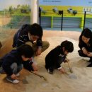 용인문화유적전시관 이미지