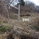 쉼터농장 Daum카페