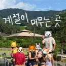 계절이 머무는 곳 | 양평 숙소 추천 | 계절이 머무는 곳, 어른6+아가1 여름 바캉스 대장정
