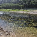 야영장민박 | 강원도 수심 깊은 계곡, 다슬기 많은 구만동계곡 펜션과 민박(돌배야영장, 구만동펜션오토캠핑장 등)