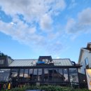 동쪽바다 세꼬시 | 양양 쏠비치 맛집 추천! 참가자미세꼬시가 일품인 동쪽바다세꼬시 본점